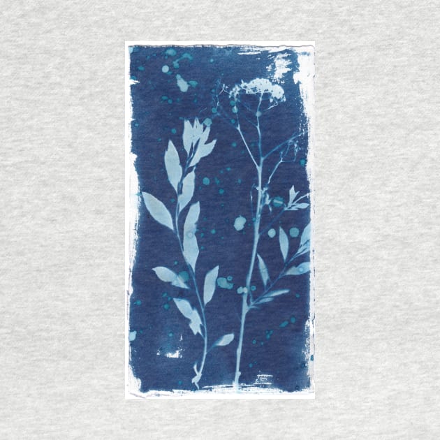 Wildflowers in cyanotype sunprint by kittyvdheuvel